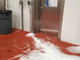 Savings Under Your Feet: Food Processing